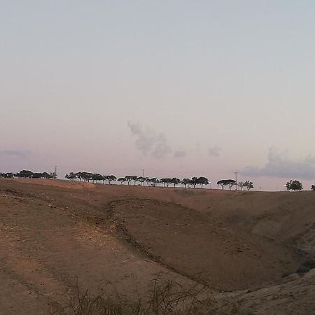 Desert Sunrise Arad Hotel Exterior photo